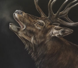 Pair of portrait prices